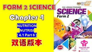 Form 2 Science Chapter 4 | HUMAN HEALTH 中文讲解 | KSSM Exam Tips【Part 4.1】PART 6