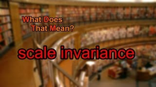 What does scale invariance mean?