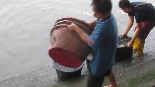 泰國梅南河畔放生讀書會20190617 4