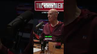 DMT Entities Are Real