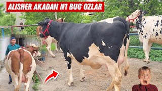 ALISHER AKADAN ENG UDDAR YETUK BUG'OZLAR MA SHA ALLAH 