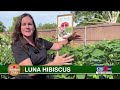 Garden Club