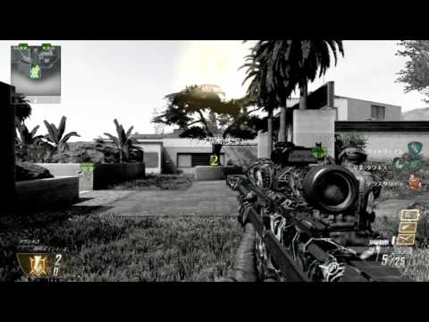 #３９【BO2】砂サーチRaid！７キル１デス【DSR】