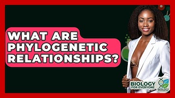 What Are Phylogenetic Relationships? - Biology For Everyone
