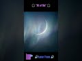 Lunar Trace - All of Me