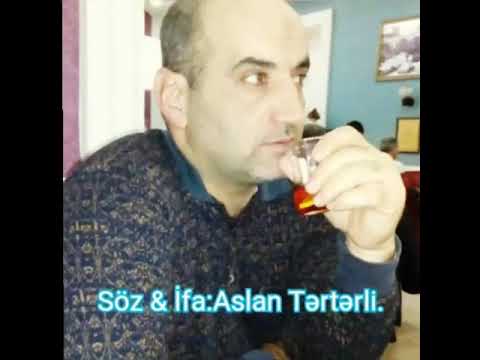 Aslan Tərtərli şeirləri - BACARMIRSAN.