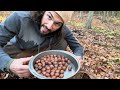 Acorn foraging  processing part 2 cleaning and drying