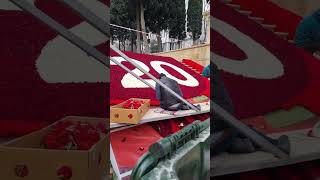 20 Yanvar Faciəsinə Hazırlıq Yanvar