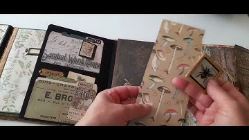 Botanical Herbal Mood lapbook  junk Journal  (using Tim Holtz supplies & paper)