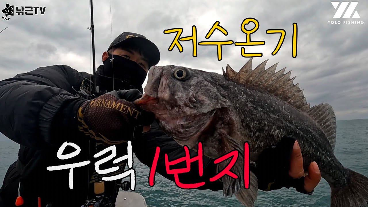 어청도 저수온기 겨울 광어 우럭을 때려잡아보자