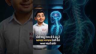 How to work human Nervous System? 👉 મનુષ્યનું ચેતાતંત્ર કેવી રીતે કામ કરે છે? #shorts #ytshorts