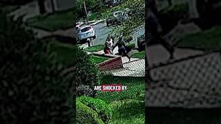 Dog dispute leads to brawl, stabbing between neighbors in Queens