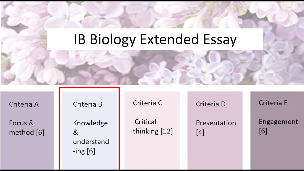 Criterion B: Knowledge & understanding