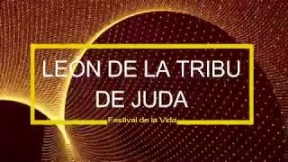 Video thumbnail of "New Wine - León De La Tribu De Juda (FV)"