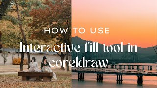 How to use Interactive fill tool