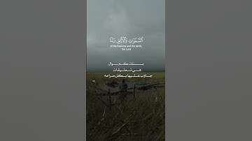 🎧 تلاوة:في تعليقات:||عمر بن ضياء الدين#quran##القرآن_الكريم#راحةنفسية#عمر بن ضياء الدين