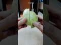 big guava 🍏#yummy #fruit #guava #trending #asmr #shorts