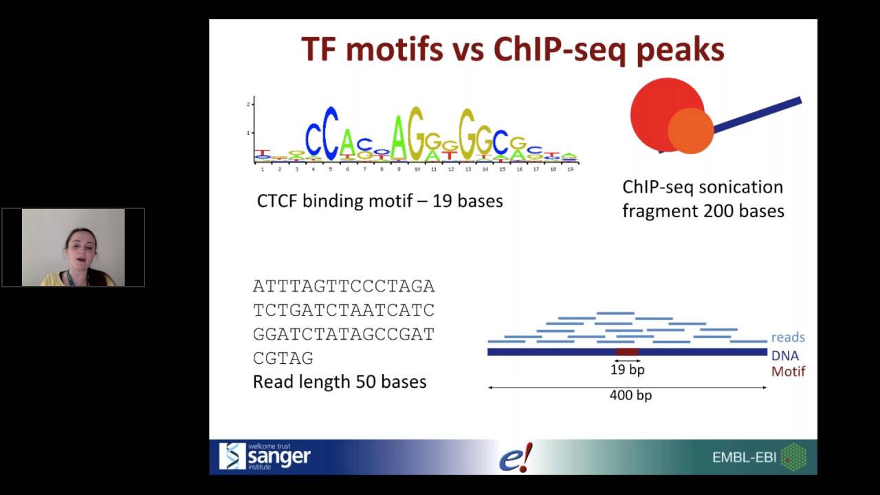 Webinar: Genomic features that regulate genes – the Ensembl Regulatory Build blueprint facebook