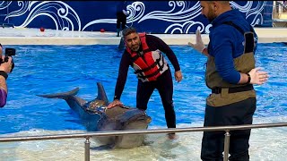 Swimming with Dolphin Antalya | Turkey ?? 2022