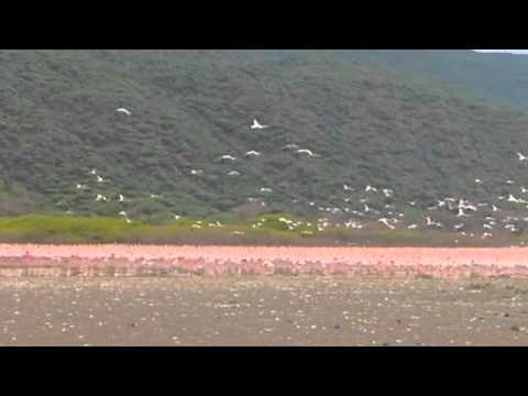 我ㄧ定要成功 - YouTube