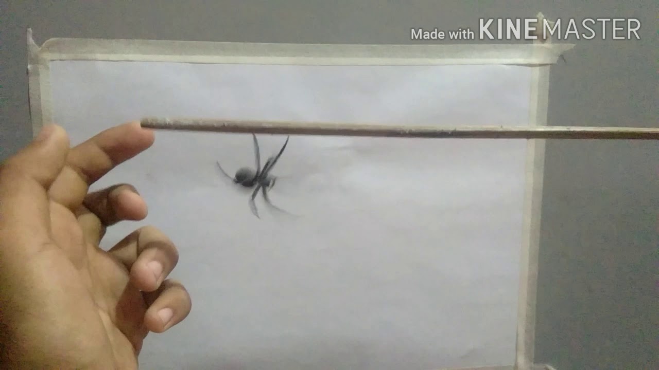 Loaded asura G load good size gensan vs XL size samon