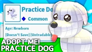 How To Get The SECRET Practice Dog Pet In Adopt Me! Roblox
