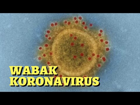 berita-terbaru-wabak-koronavirus-yang-bermula-dari-wuhan,china