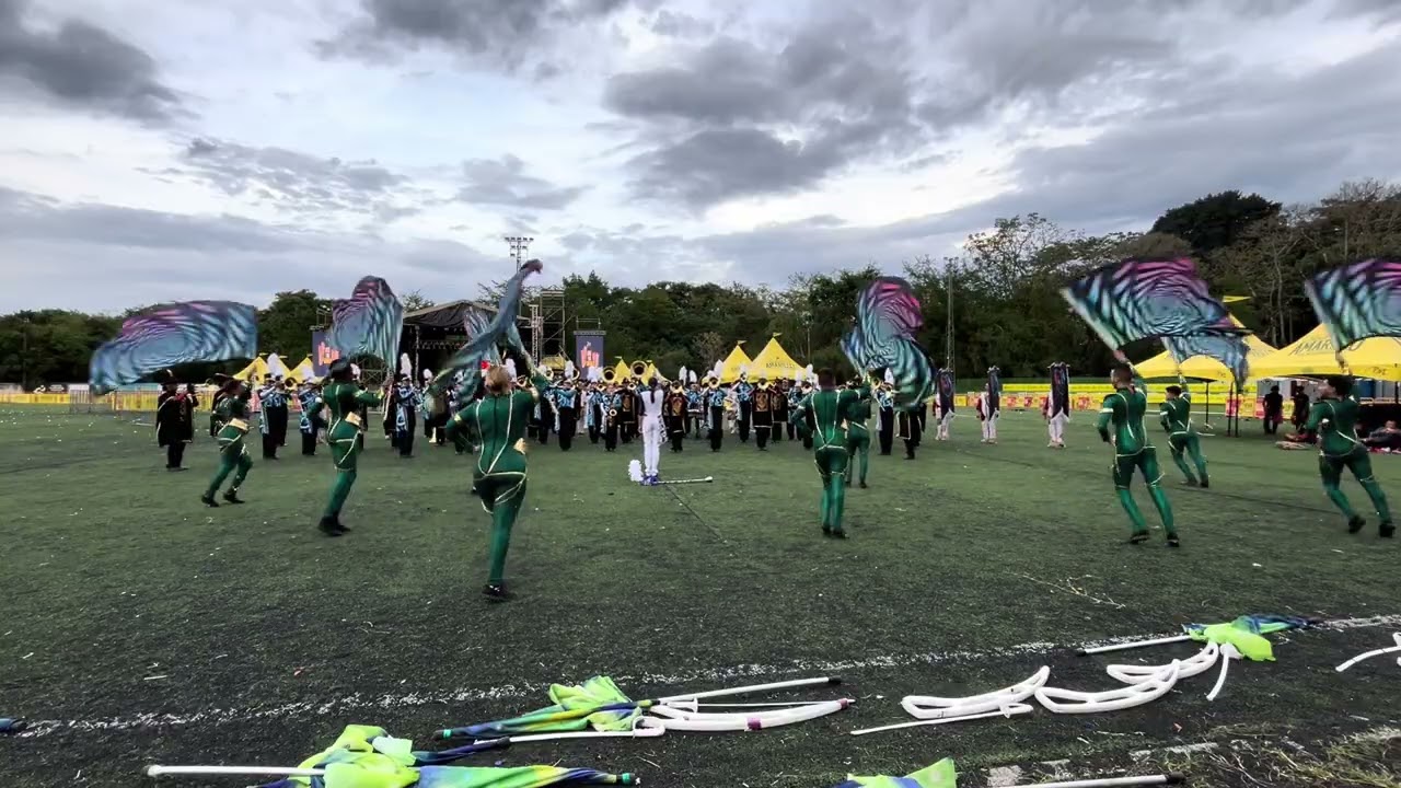 Fusión Meva Signum | La Virginia 2026