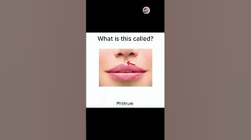 English quiz challenge part 884 #quiz