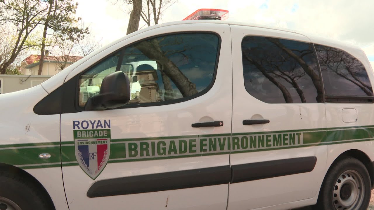 Royan : la brigade environnementale traque les pollueurs