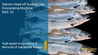 Pisces Sga-22 Eviscerating Machine