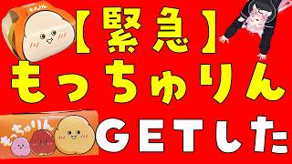 博衣こよりの配信のサムネイル画像