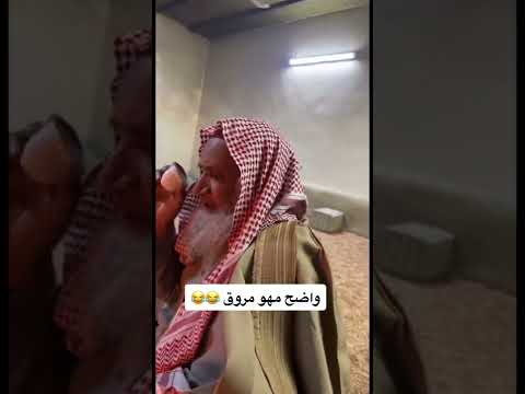 الشايب معصب 