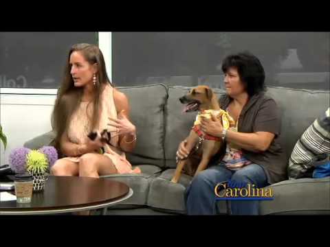 Nila on Your Carolina - Jack & Megan Show - YouTube