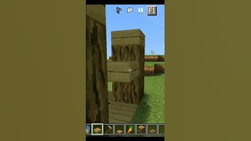 rabbit trap in Minecraft (world