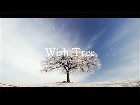 Red Velvet's Wish Tree 🎄