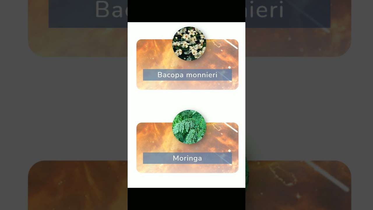 Pineal Guardian: Premium 🧠 Health💊👩🏾‍⚕️Supplement 