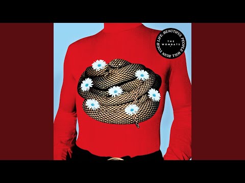 Dip You in Honey - The Wombats