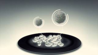 Norovirus animation: How cold plasma can kill virus that causes food poisoning