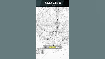AI Predicts Heart Attacks 10 Years in Advance?! 🧬👁️