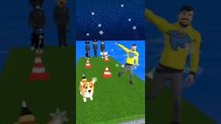 Cow, Chicken Vs Dog cute? Which animal can dodge the cones and choose the right owner? #cat #dog
