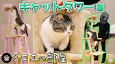 今月で3歳になりました Eoheoh家の愛猫登場 クロエの部屋 本日オープン Mssp M S S Project Youtube 今月で3歳になりました Eoheoh家の愛猫登場 クロエの部屋 本日オープン Mssp M S S Project Youtube