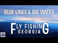 5 days in north georgia  exploring the blue ridge mountains  fly fishing georgia