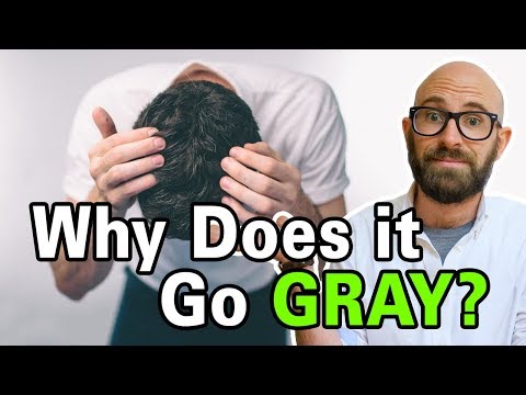 머리카락이 회색으로 변하는 원인은 무엇입니까?