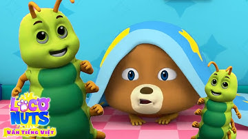 Bug Bug Bài hát | Video giáo dục | Nhạc thiếu nhi | Loco Nuts | Vần Tiếng Việt | Trường mầm non
