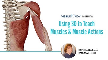 Visible Body Webinars | Using 3D to Teach Muscles & Muscle Actions