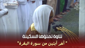 تلاوة تملؤها السكينة للشيخ أحمد طالب حميد - أجمل التلاوات