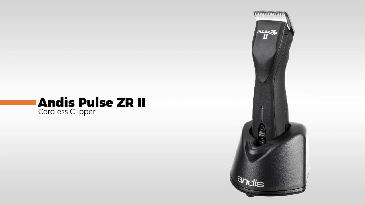 andis pulse zr ii vet pack cordless clipper