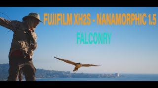 FUJIFILM XH2S | NANOMORPHIC 50mm T2.4 | FALCONRY screenshot 4