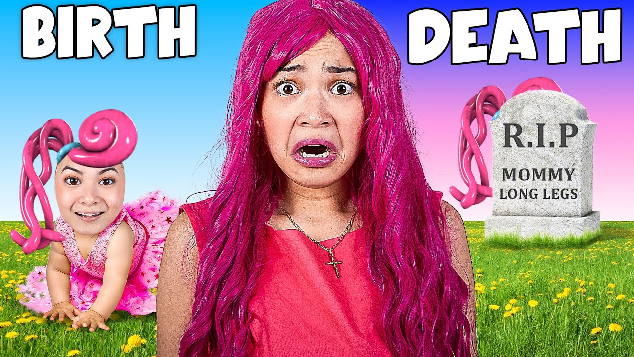 birth-to-death-of-mommy-long-legs-in-real-life-emotional-funny
